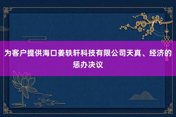 为客户提供海口姜轶轩科技有限公司天真、经济的惩办决议