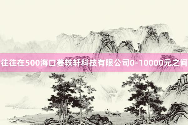 往往在500海口姜轶轩科技有限公司0-10000元之间