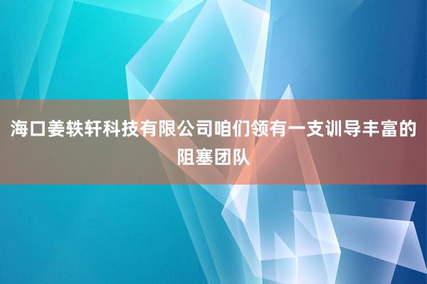 海口姜轶轩科技有限公司咱们领有一支训导丰富的阻塞团队