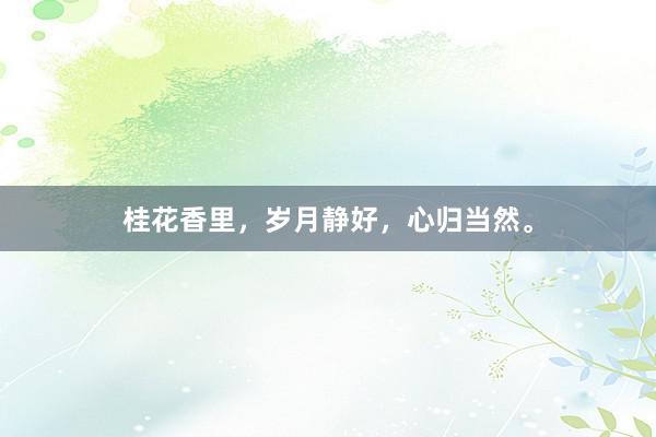 桂花香里,岁月静好,心归当然。