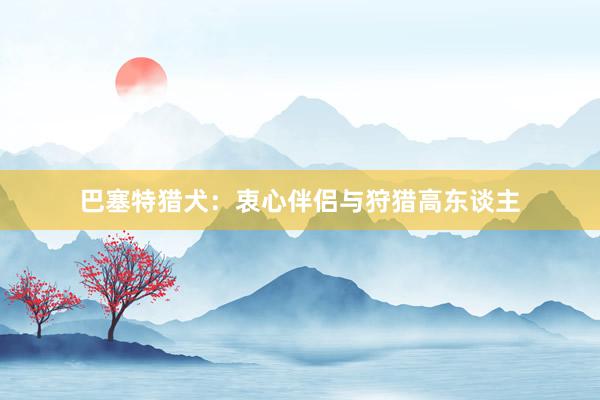 巴塞特猎犬：衷心伴侣与狩猎高东谈主
