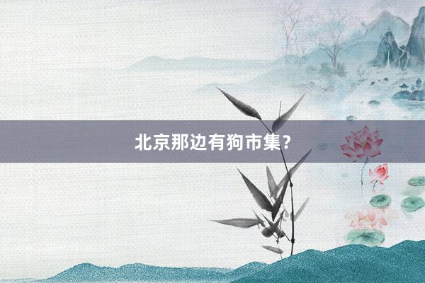 北京那边有狗市集？